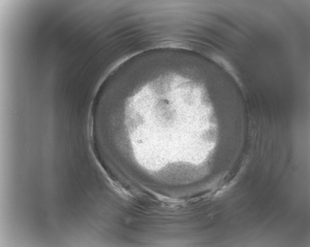 X0000069411125200605262202