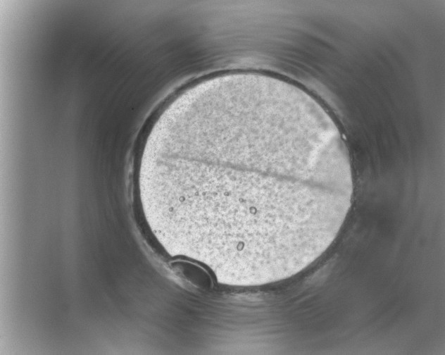 X0000069411126200605262202