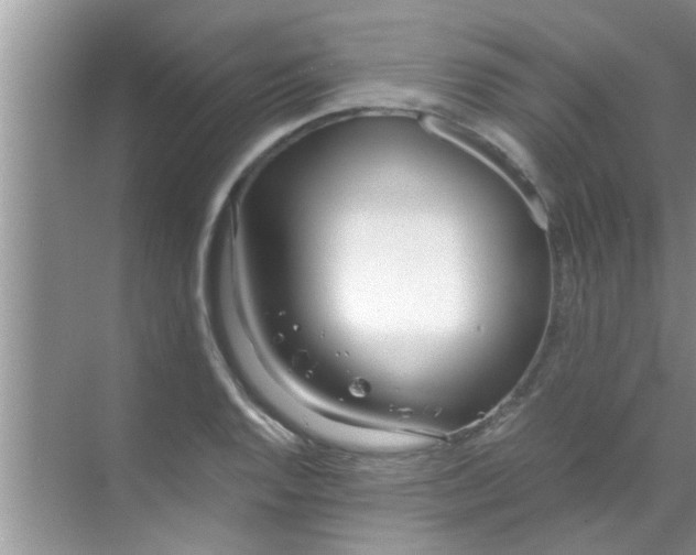 X0000069411128200605262202