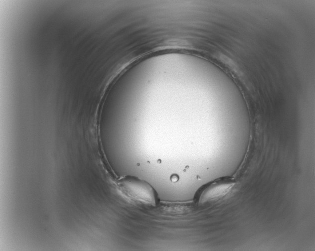 X0000069411129200605262202