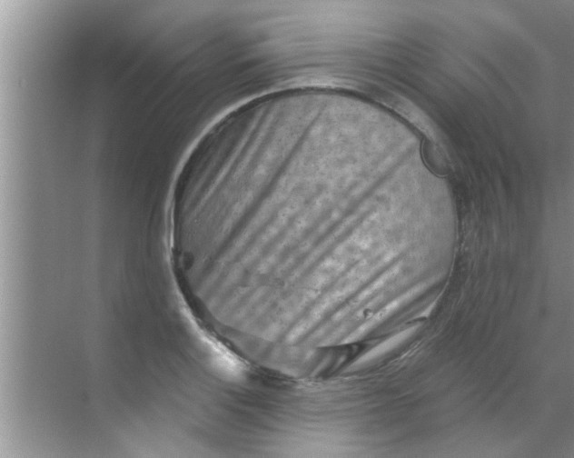 X0000069411132200605262202