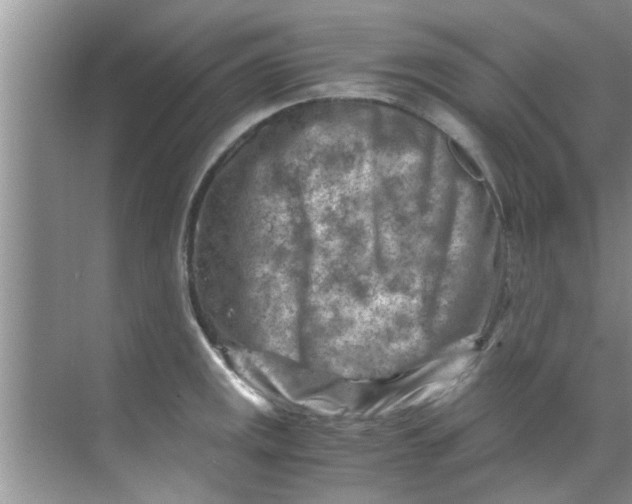 X0000069411141200605262202