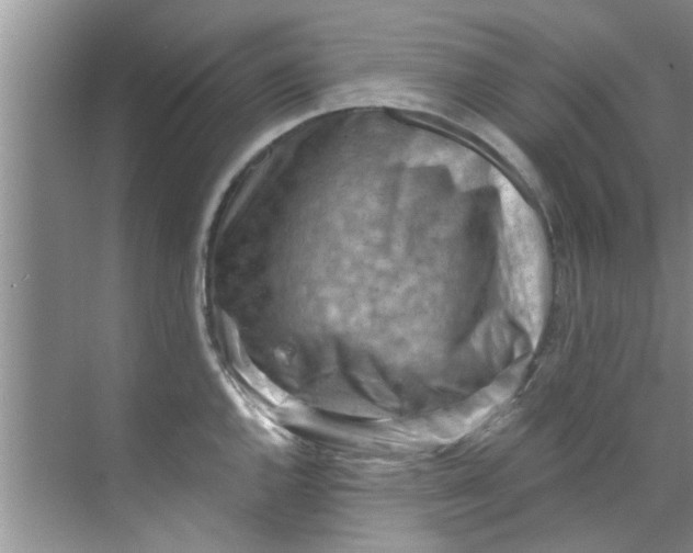 X0000069411144200605262202