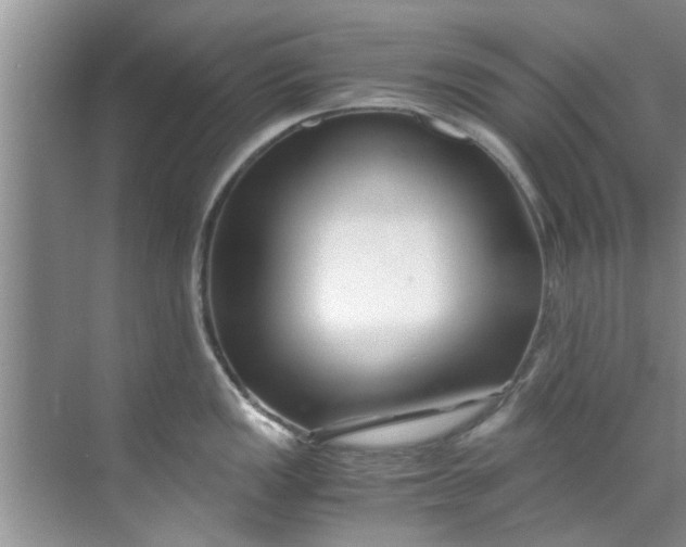 X0000069411149200605262202