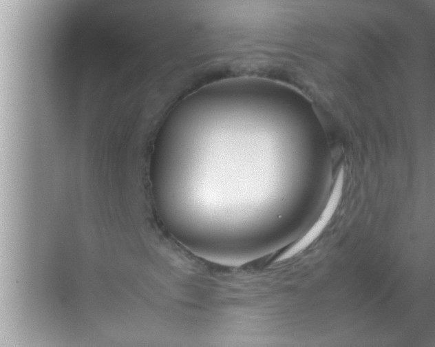 X0000069411153200605262201