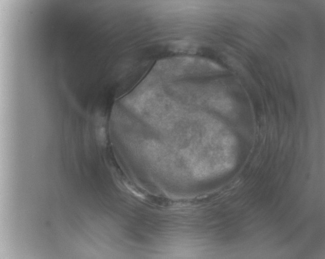 X0000069411154200605262201