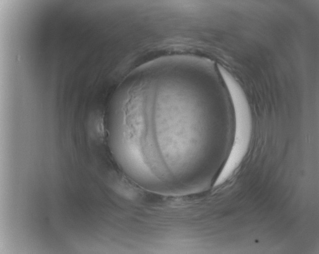 X0000069411155200605262201