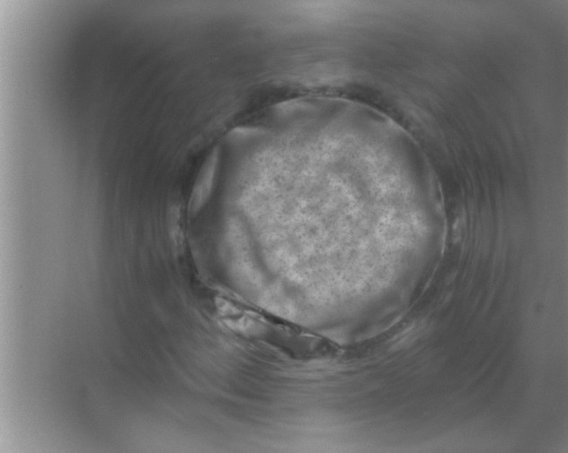 X0000069411156200605262201