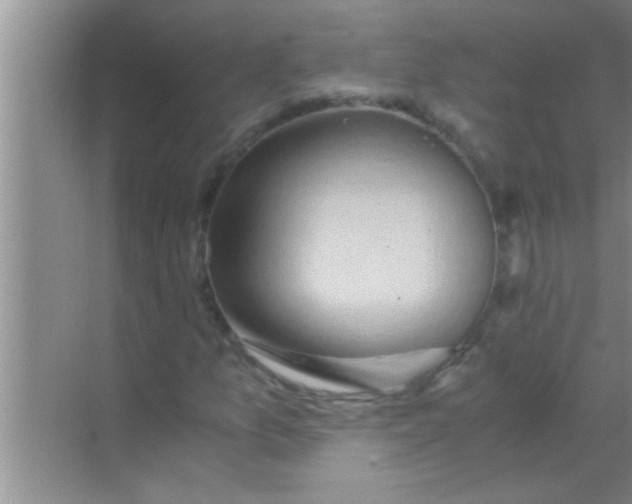 X0000069411157200605262201