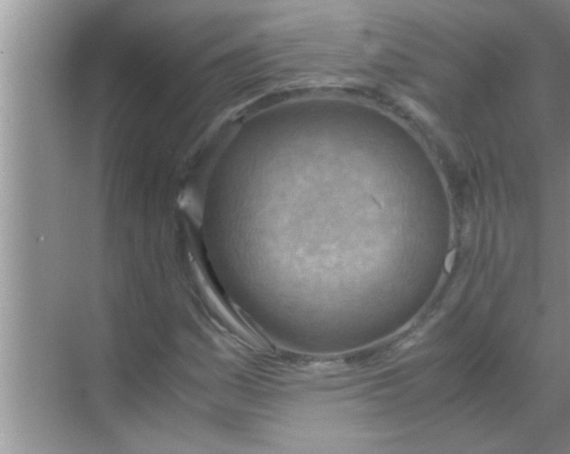 X0000069411161200605262201