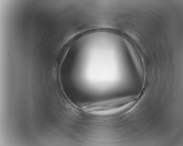 X0000069411163200605262201