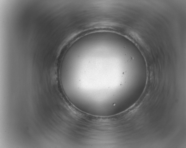 X0000069411164200605262201