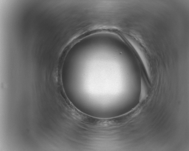 X0000069411165200605262201