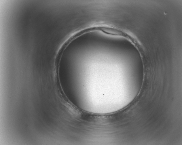 X0000069411167200605262201