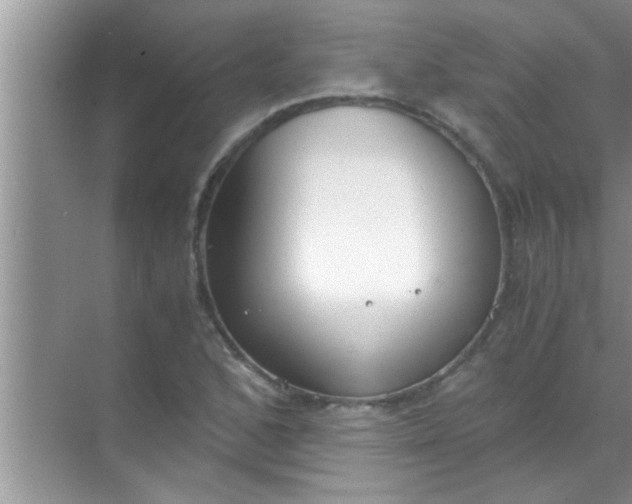 X0000069411168200605262201