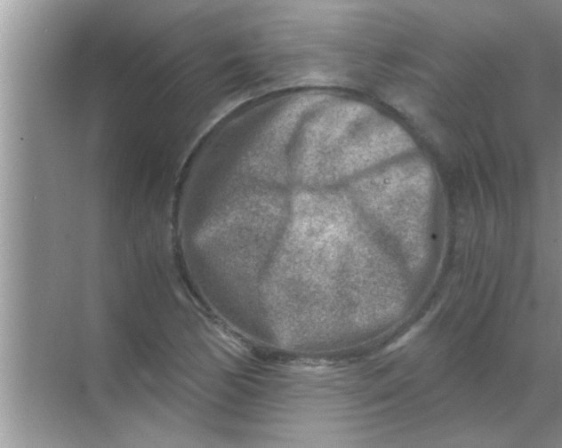 X0000069411170200605262201