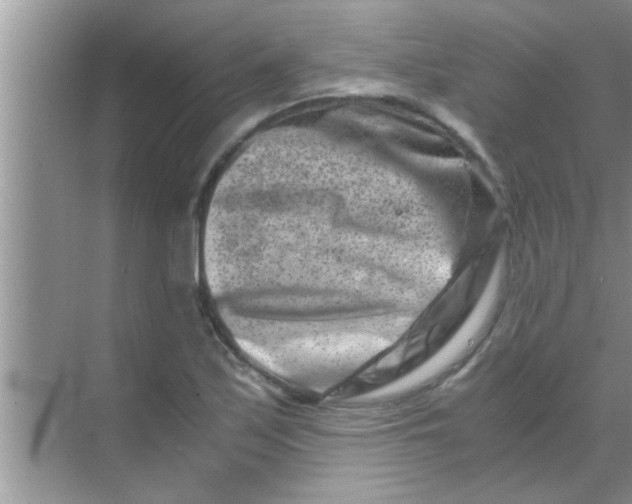 X0000069411171200605262201