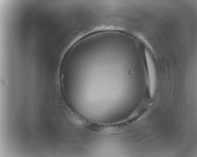 X0000069411173200605262201