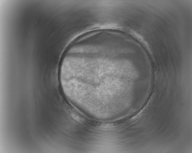 X0000069411174200605262201