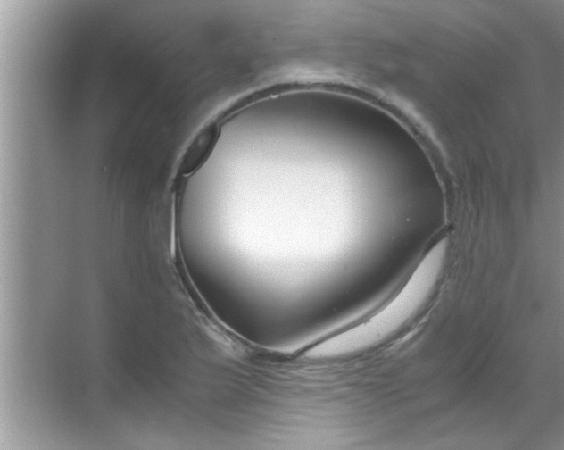 X0000069411175200605262201