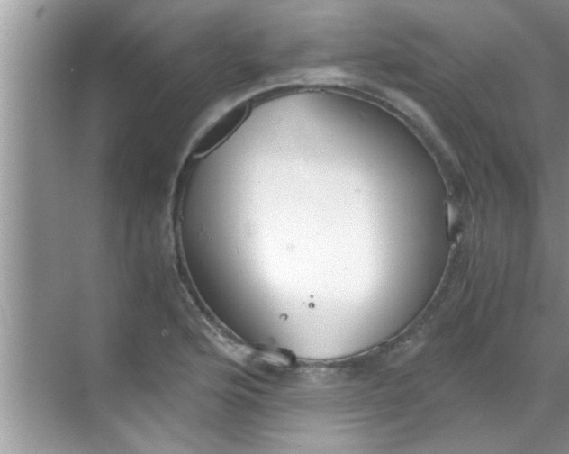 X0000069411176200605262201