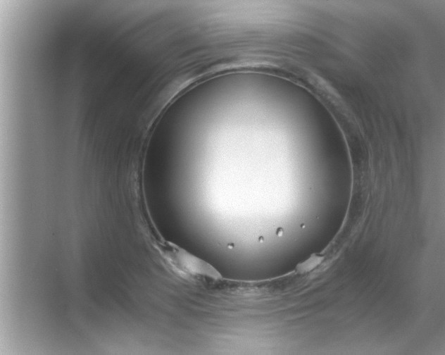 X0000069411177200605262201