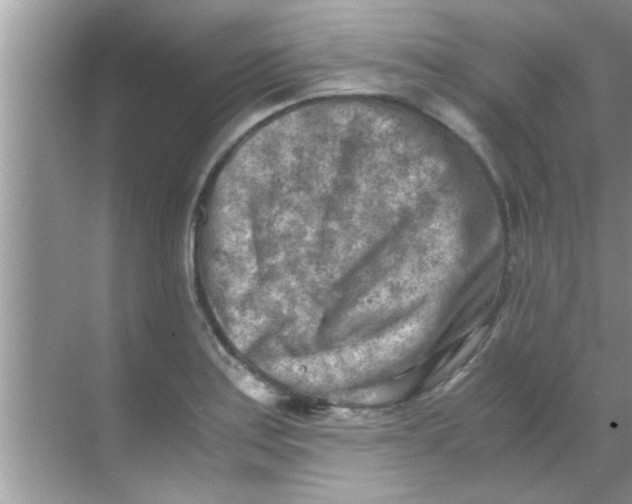 X0000069411179200605262201