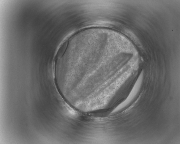 X0000069411180200605262201