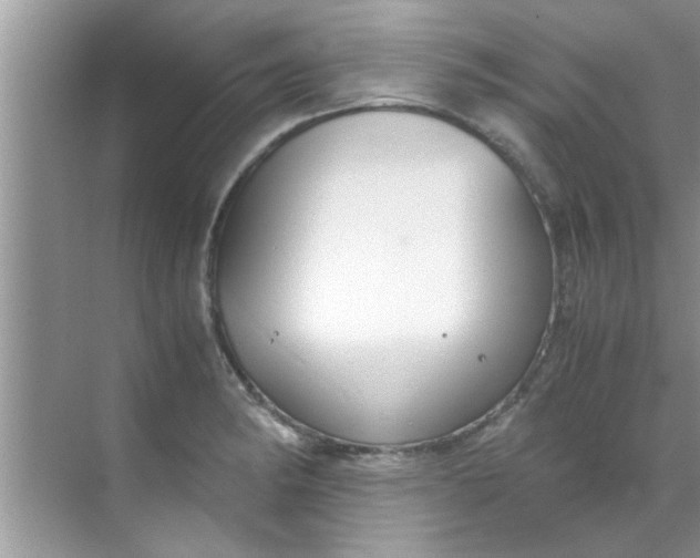 X0000069411182200605262201