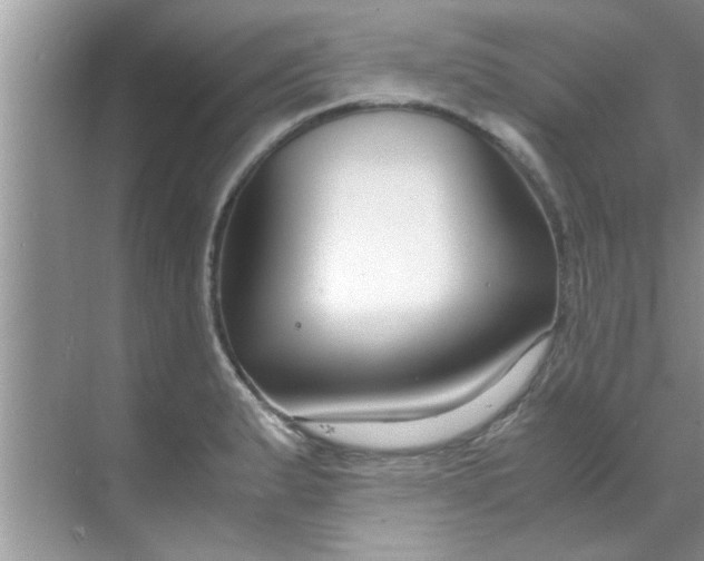 X0000069411183200605262201