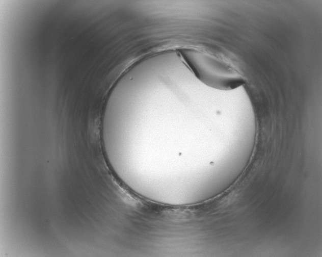 X0000069411185200605262201