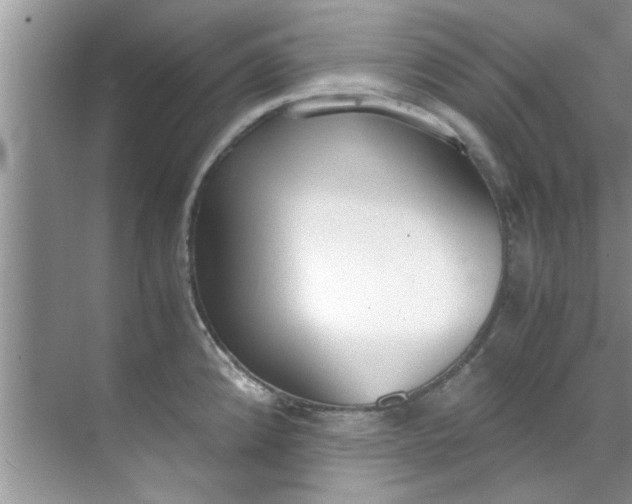 X0000069411192200605262201