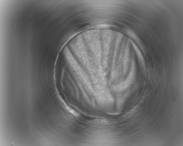 X0000069411194200605262201