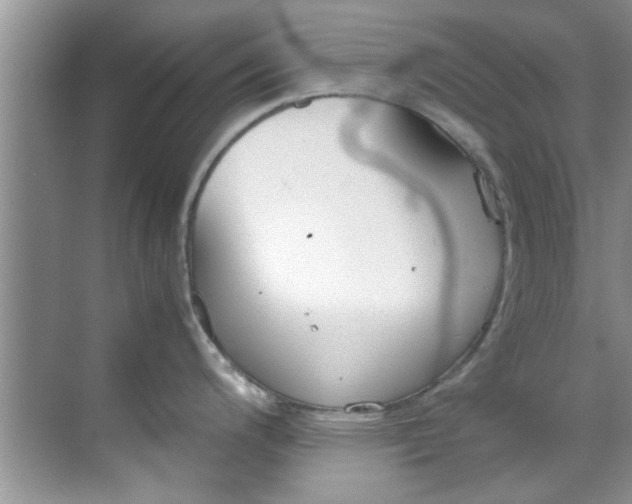 X0000069411200200605262201