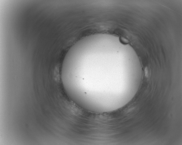 X0000069411203200605262200