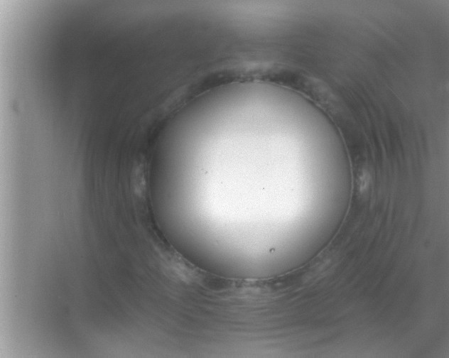 X0000069411204200605262200