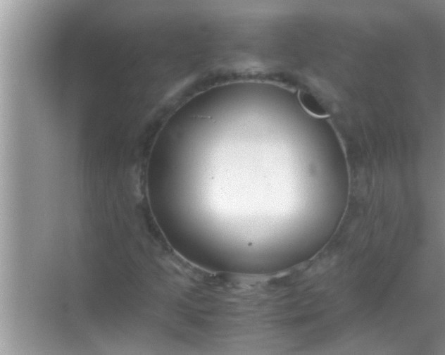 X0000069411205200605262200