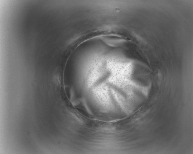 X0000069411206200605262200