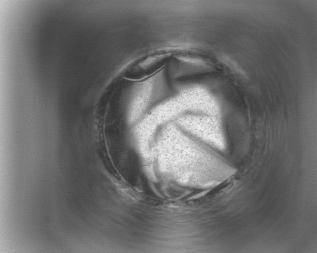 X0000069411208200605262200