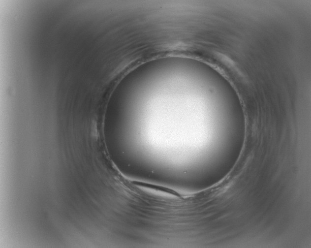 X0000069411209200605262200