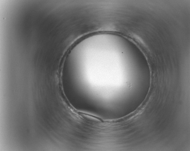 X0000069411212200605262200