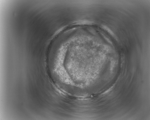 X0000069411213200605262200