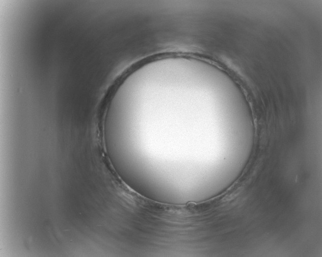 X0000069411215200605262200