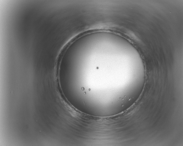 X0000069411216200605262200