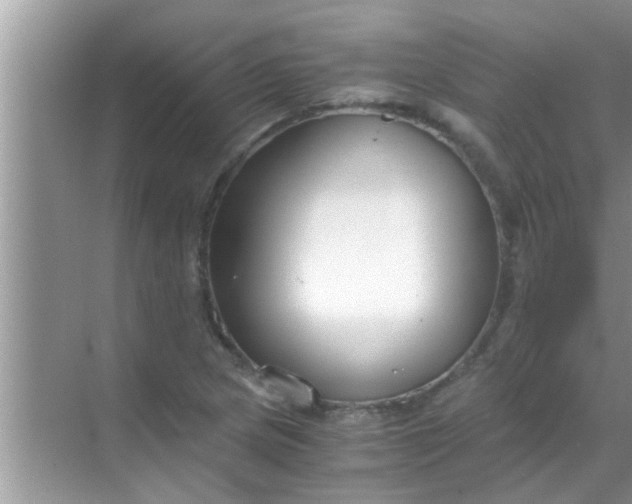 X0000069411217200605262200