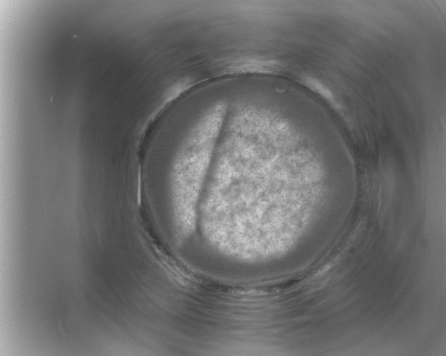 X0000069411219200605262200