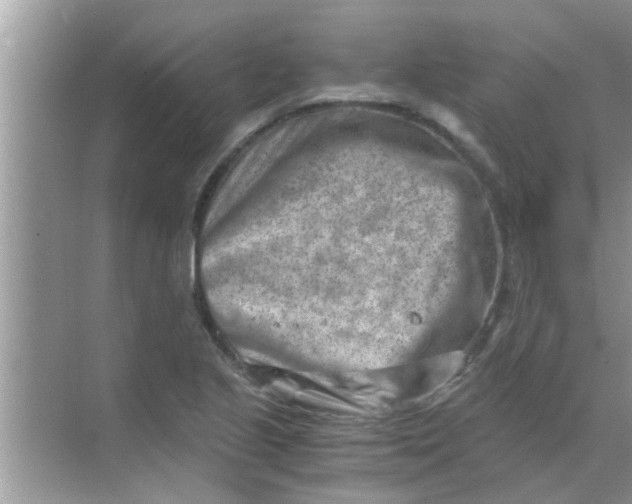 X0000069411221200605262200