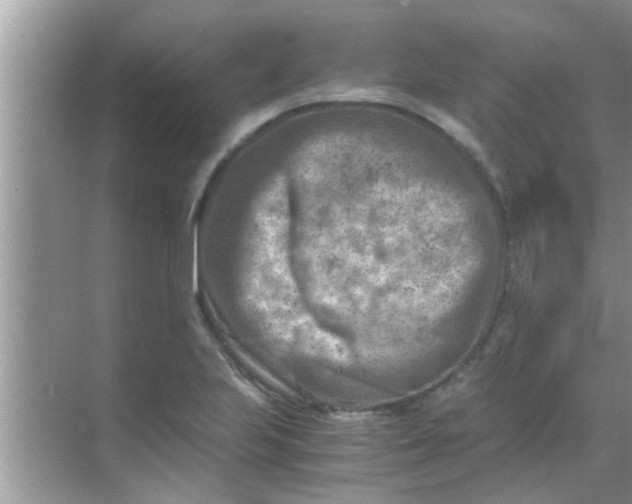 X0000069411223200605262200