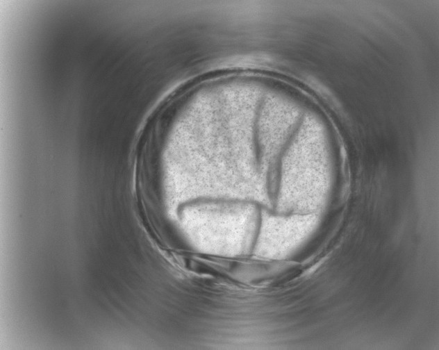 X0000069411224200605262200