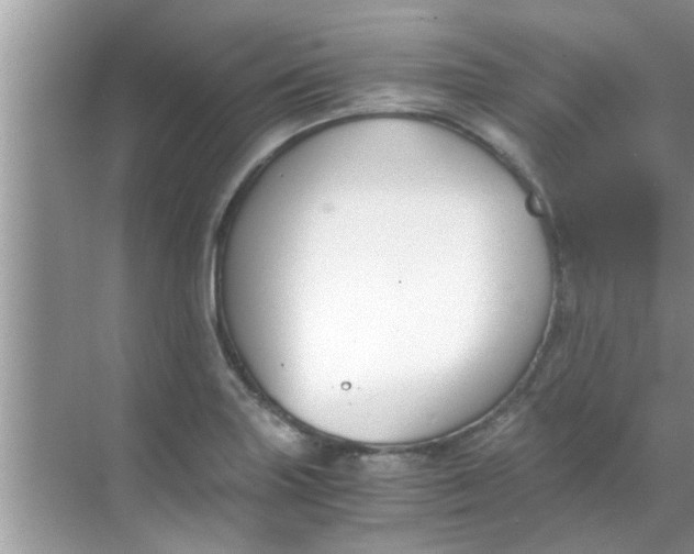 X0000069411227200605262200